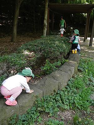 『チャレンジ』〜みんなが心地よい保育って？〜