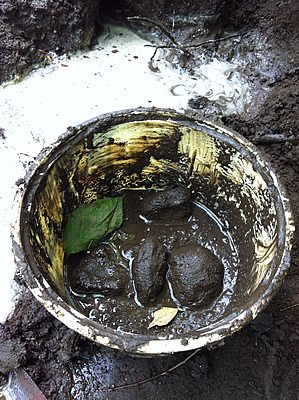 コドモコトノハ「なかまになったよな」