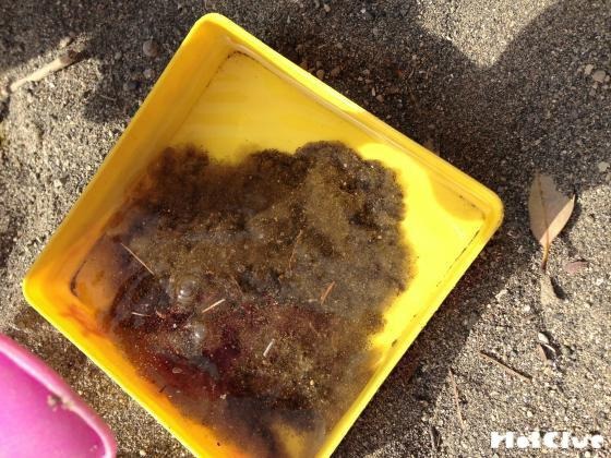 じっくり観察！砂あそび〜好奇心広がるワクワク戸外遊び〜