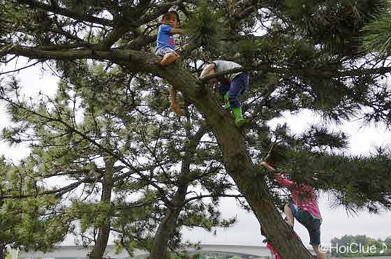 「子どもの自己決定が保証される場所」ー木更津社会館保育園（千葉県 木更津市）