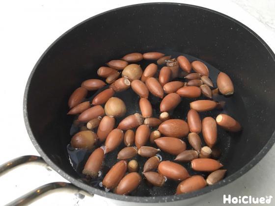 どんぐりをながーく楽しむには…！？〜どんぐりの虫を処理する方法〜