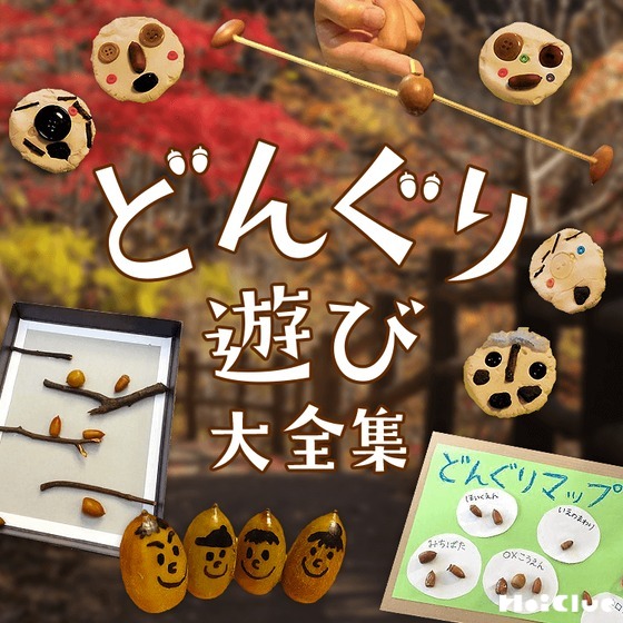 どんぐり遊び大全集〜どんぐりゲームや製作・工作遊びなど26種類以上のアイデア集〜
