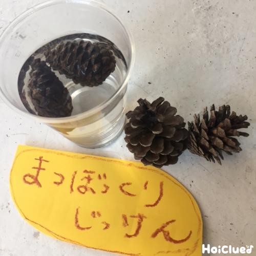ドキドキ！まつぼっくり実験〜身近な自然を楽しむ遊び〜