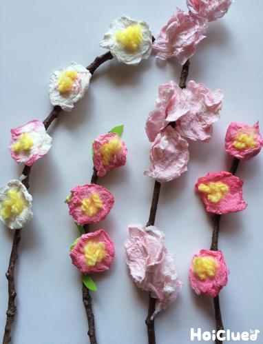 春いっぱいのお花〜ティッシュ×色水で楽しむ製作遊び〜