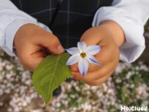 「実習」の経験を、保育士になるあなたの“未来”に繋げよう！【実習後-Vol.2-】