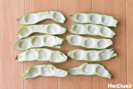 【工作コラム】「そらまめまくら」に寝てみよう！〜素材／空豆の皮〜
