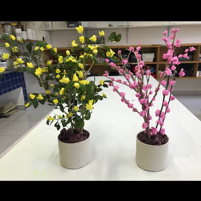 【みんなの投稿】ひな壇のお花 〜桃の花と、黄色い花〜