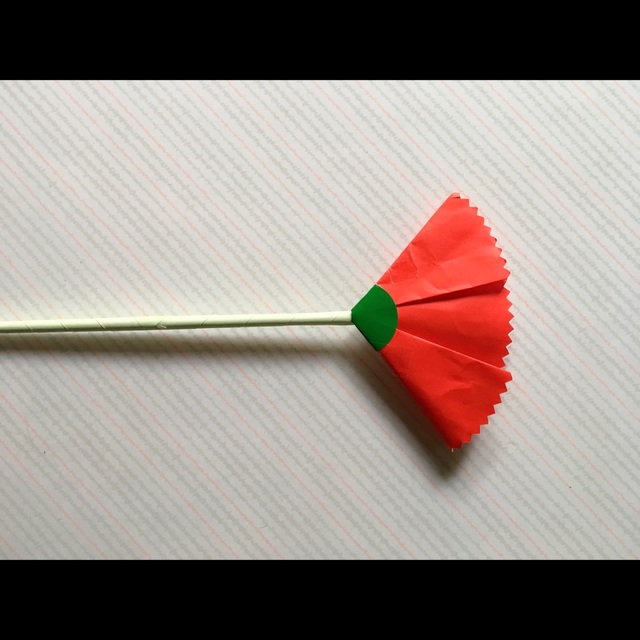 【みんなの投稿】カーネーション
