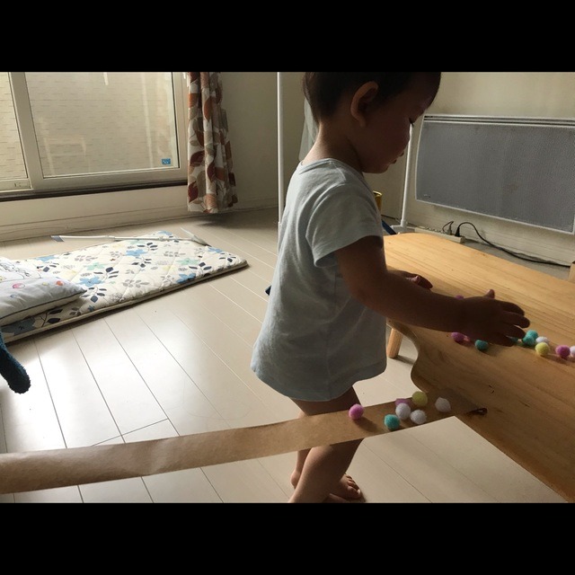 【みんなの投稿】☆ぽんぽんのはしご渡り☆