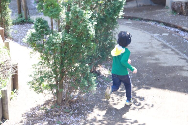 3月から4月。揺れる中で見える風景。保育者とこどもたち 〜こどもの“やってみたい”を やってみよう／しぜんの国保育園の実践より〜