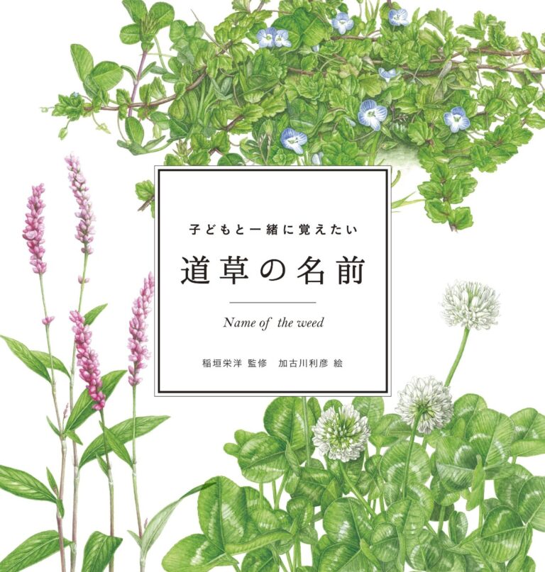 子どもと一緒に覚えたい 道草の名前／ほいくる編集部の本棚より