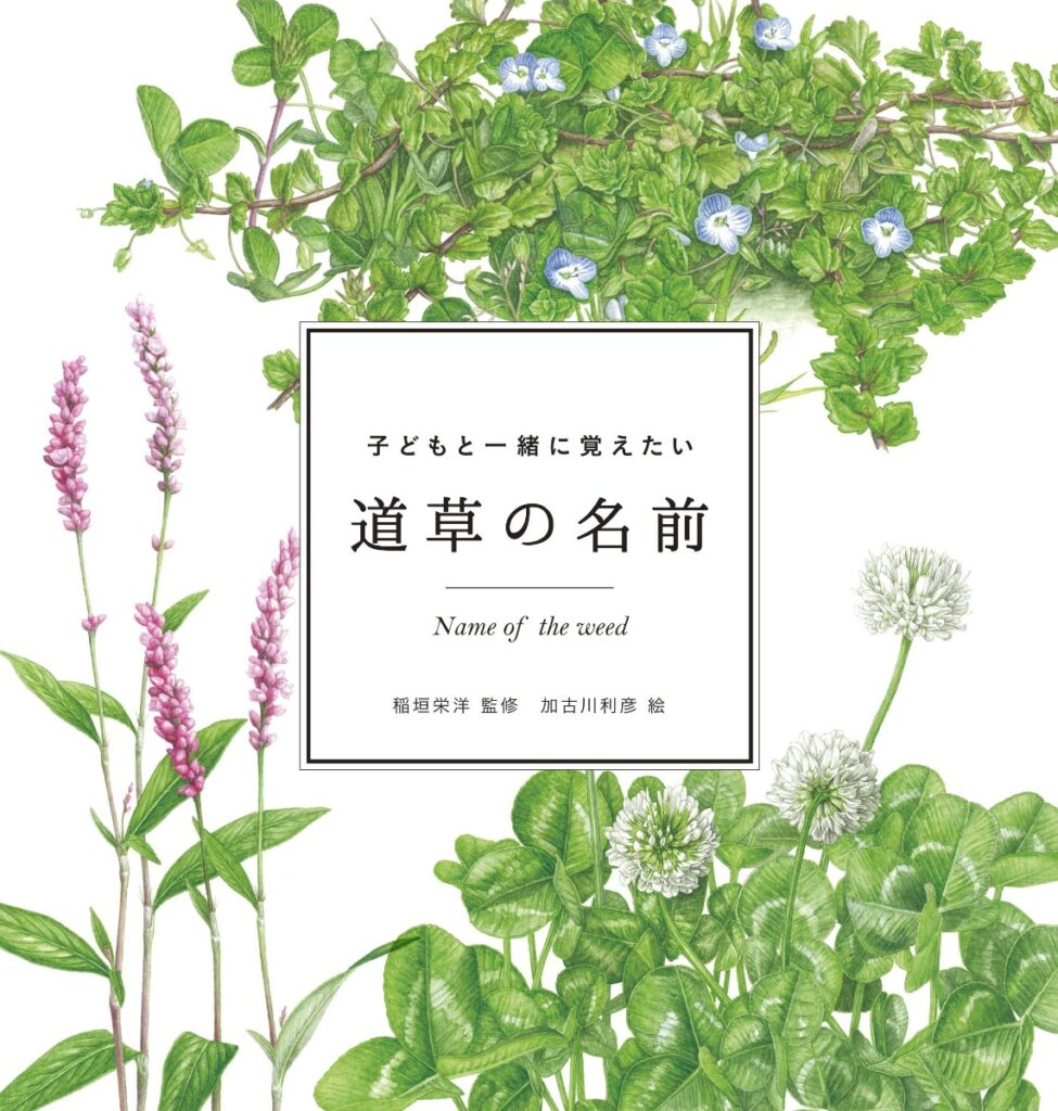子どもと一緒に覚えたい 道草の名前/ほいくる編集部の本棚より