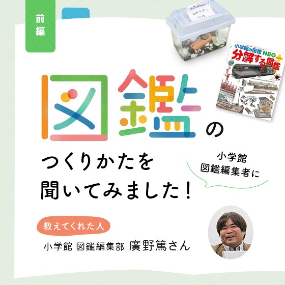 「図鑑のつくりかた」を小学館図鑑編集者に聞いてみました！