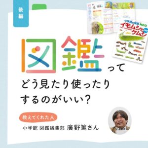 図鑑ってどう見たり使ったりするのがいい？ー 図鑑編集者に教わる、図鑑の楽しみ方。