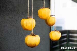 甘〜い干し柿を作ってみよう〜素材／渋柿〜