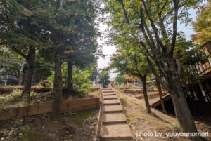 生きものをそばに感じる園庭（神奈川県横浜市ーゆうゆうのもり幼保園）