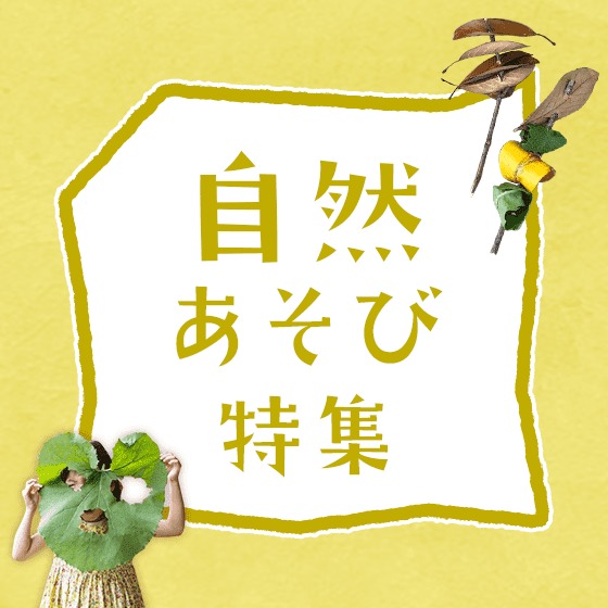 自然遊び特集