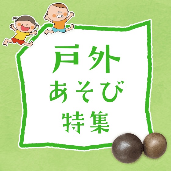 戸外遊び特集